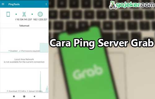 Cara Ping Server Grab